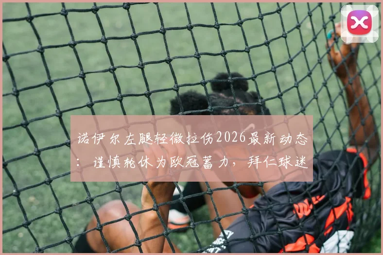 诺伊尔左腿轻微拉伤2026最新动态:谨慎轮休为欧冠蓄力,拜仁球迷无需过度担忧